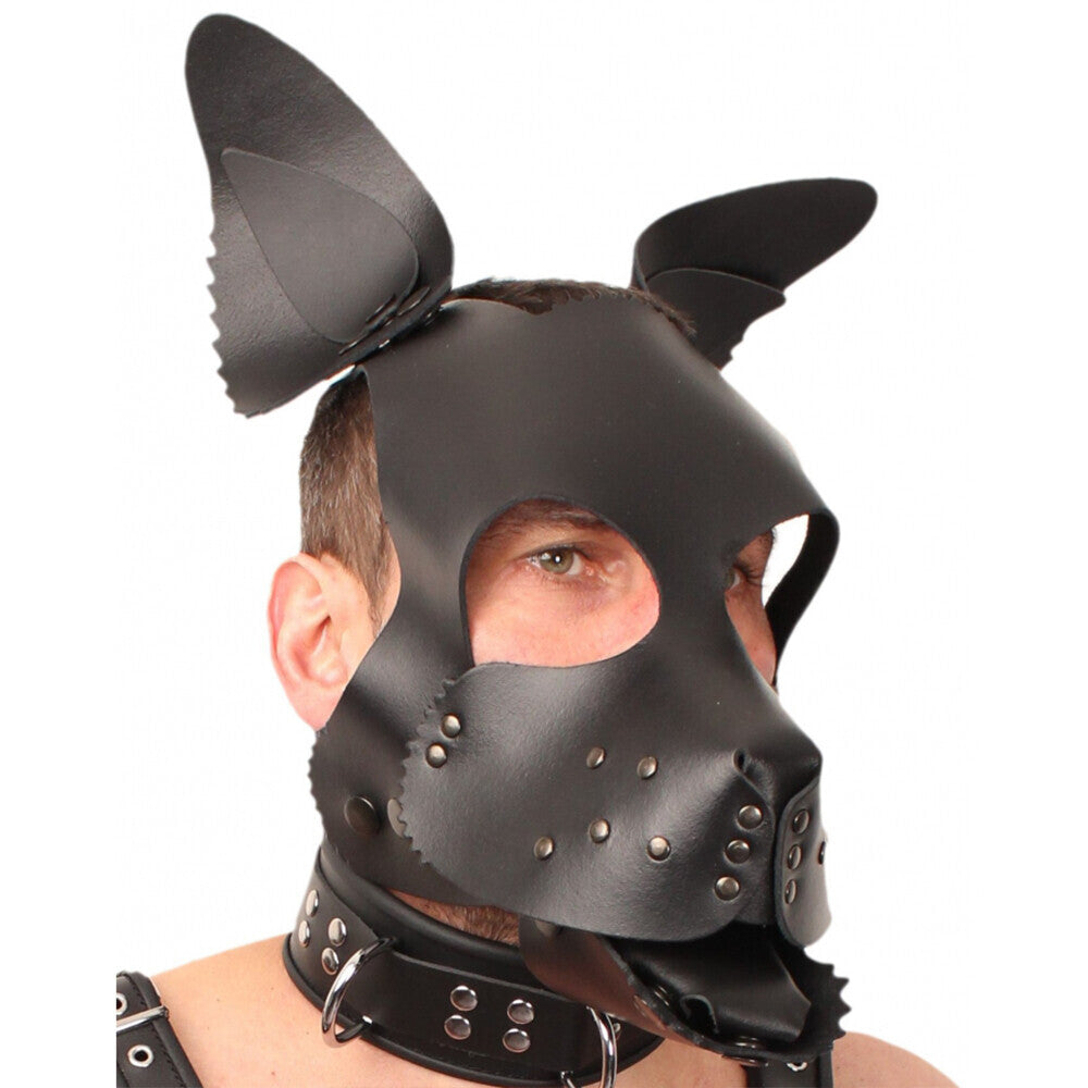 Le masque de chien chiot en cuir rouge