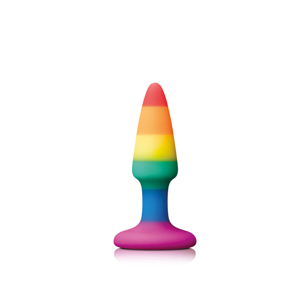 Pride Pleasure Plug Arc-en-ciel Mini