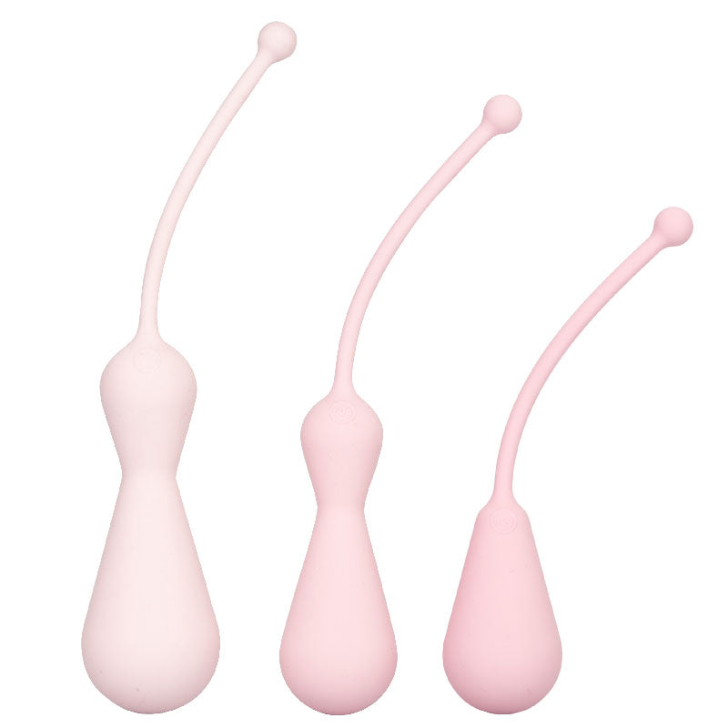 Kit d'entraînement Kegel en silicone lesté Inspire